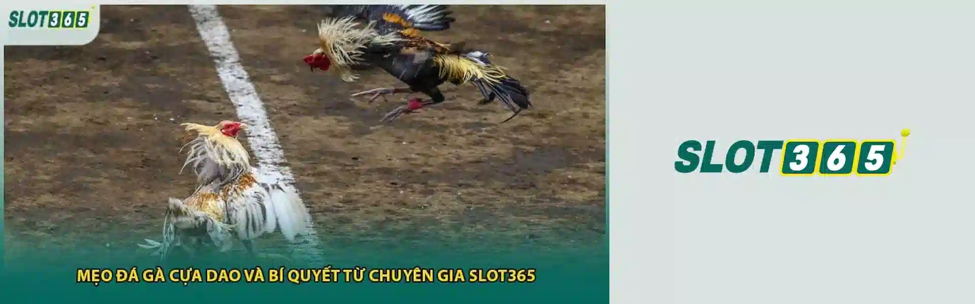 888SLOT